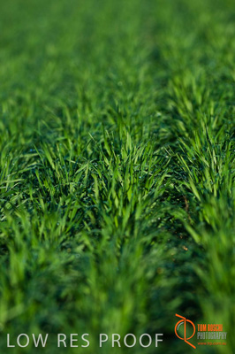 June 2007 / SA_RURAL_308__070615_ABB_333_070615