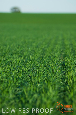 June 2007 / SA_RURAL_309__070615_ABB_330_070615