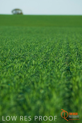 June 2007 / SA_RURAL_310__070615_ABB_329_070615