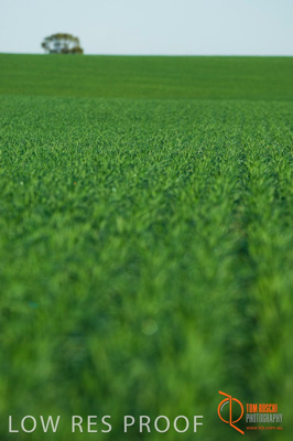 June 2007 / SA_RURAL_311__070615_ABB_328_070615