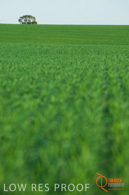 June 2007 / SA_RURAL_312__070615_ABB_327_070615