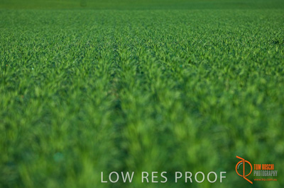 June 2007 / SA_RURAL_313__070615_ABB_325_070615