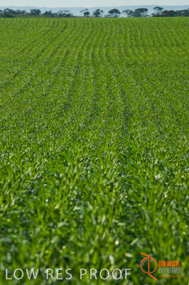 June 2007 / SA_RURAL_315__070615_ABB_316_070615