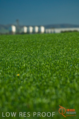 June 2007 / SA_RURAL_318__070615_ABB_292_070615