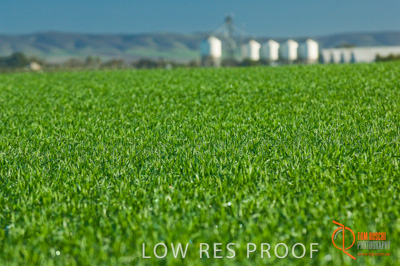 June 2007 / SA_RURAL_319__070615_ABB_286_070615