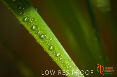 June 2007 / SA_RURAL_320__070615_ABB_284_070615