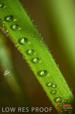 June 2007 / SA_RURAL_324__070615_ABB_276_070615