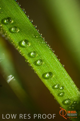 June 2007 / SA_RURAL_325__070615_ABB_275_070615