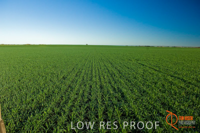 June 2007 / SA_RURAL_329__070615_ABB_250_070615