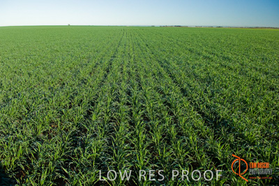 June 2007 / SA_RURAL_330__070615_ABB_244_070615