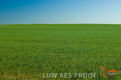 June 2007 / SA_RURAL_331__070615_ABB_240_070615