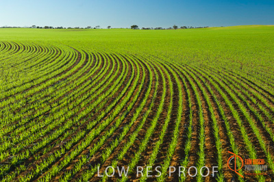 June 2007 / SA_RURAL_332__070615_ABB_239_070615