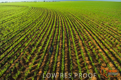 June 2007 / SA_RURAL_333__070615_ABB_238_070615