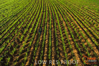 June 2007 / SA_RURAL_335__070615_ABB_236_070615