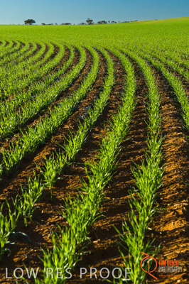 June 2007 / SA_RURAL_338__070615_ABB_230_070615