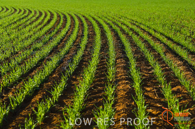 June 2007 / SA_RURAL_345__070615_ABB_216_070615