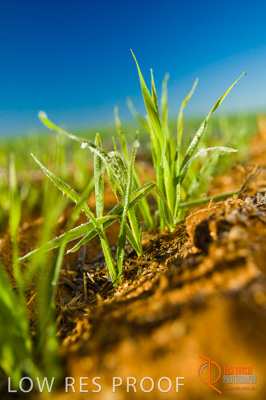 June 2007 / SA_RURAL_349__070615_ABB_212_070615