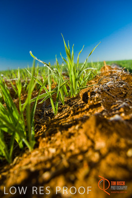 June 2007 / SA_RURAL_350__070615_ABB_209_070615