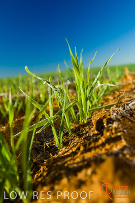 June 2007 / SA_RURAL_351__070615_ABB_208_070615