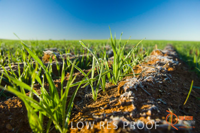 June 2007 / SA_RURAL_354__070615_ABB_199_070615