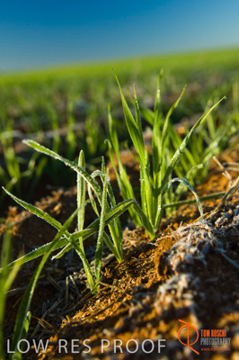 June 2007 / SA_RURAL_357__070615_ABB_192_070615