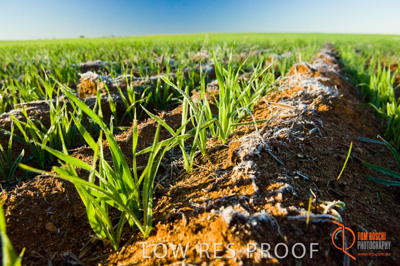 June 2007 / SA_RURAL_358__070615_ABB_189_070615