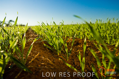 June 2007 / SA_RURAL_360__070615_ABB_179_070615