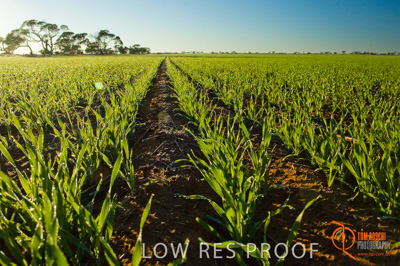 June 2007 / SA_RURAL_361__070615_ABB_171_070615