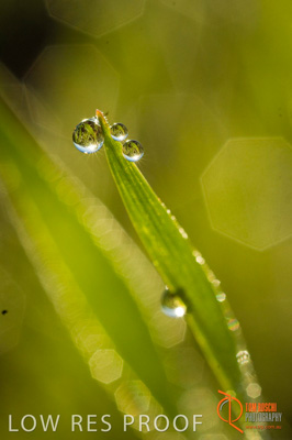 June 2007 / SA_RURAL_366__070615_ABB_150_070615