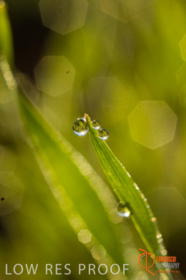 June 2007 / SA_RURAL_367__070615_ABB_149_070615