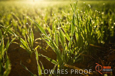 June 2007 / SA_RURAL_369__070615_ABB_140_070615