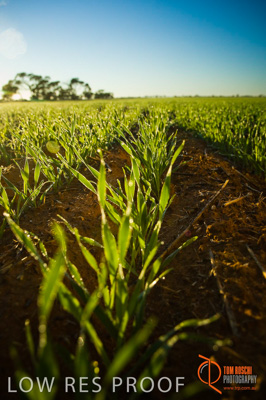 June 2007 / SA_RURAL_370__070615_ABB_139_070615