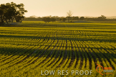 June 2007 / SA_RURAL_371__070615_ABB_129_070615