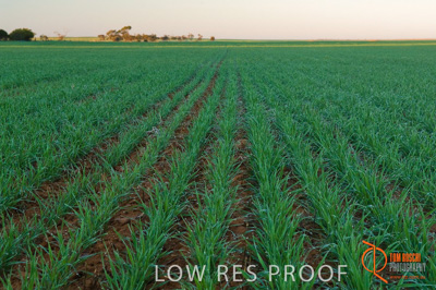 June 2007 / SA_RURAL_372__070615_ABB_122_070615