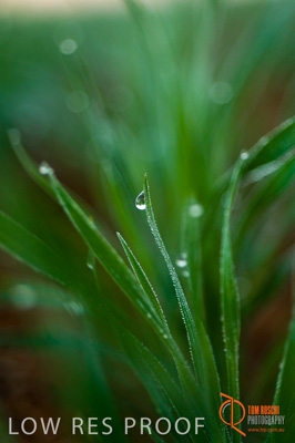 June 2007 / SA_RURAL_374__070615_ABB_117_070615