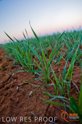 June 2007 / SA_RURAL_376__070615_ABB_112_070615