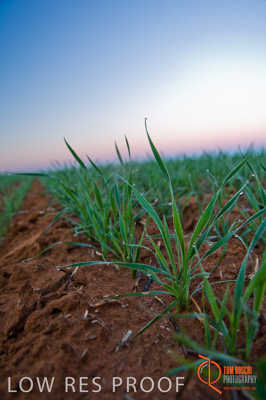 June 2007 / SA_RURAL_377__070615_ABB_111_070615