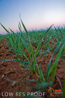 June 2007 / SA_RURAL_378__070615_ABB_109_070615