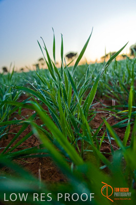 June 2007 / SA_RURAL_379__070615_ABB_108_070615