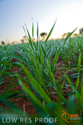 June 2007 / SA_RURAL_380__070615_ABB_107_070615