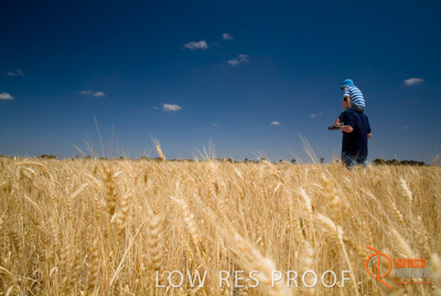 October 2006 / SA_RURAL_382__061018_ABB_062-061018