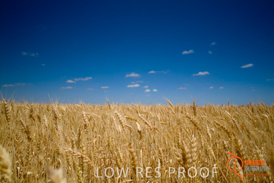 October 2006 / SA_RURAL_387__061018_ABB_034-061018