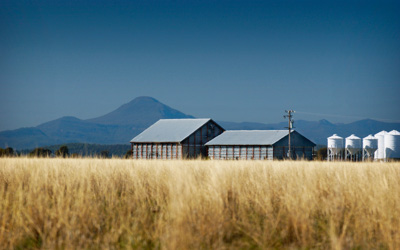 April 2005 / SA_RURAL_388__050401_CAT31580