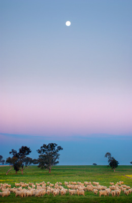 April 2005 / SA_RURAL_389__050401_CAT30950