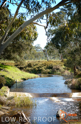 May 2002 / SA_RURAL_394__020505_saw_240804_083