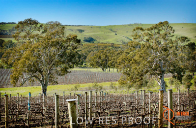 May 2002 / SA_RURAL_398__020505_saw_240804_060