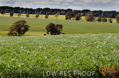 July 2001 / SA_RURAL_403__010702_DSC_6471