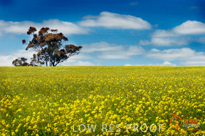 July 2001 / SA_RURAL_404__010702_DSC_6467