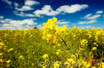 July 2001 / SA_RURAL_405__010702_DSC_6456