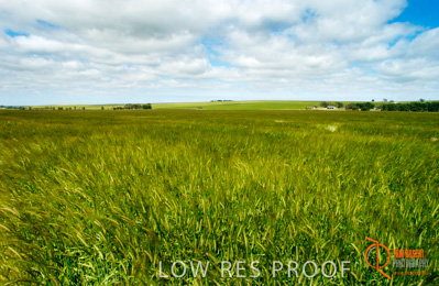 July 2001 / SA_RURAL_407__010702_DSC_6402